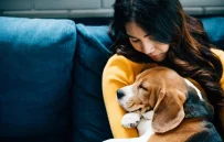 Treat Puzzle Toys vs. Slow Feeders: Which One Is Better?