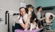 10 Ways to Boost Your Pet Grooming Business Online